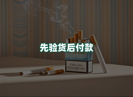 核心优势
